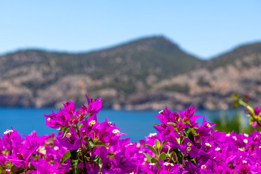 Idyllic view