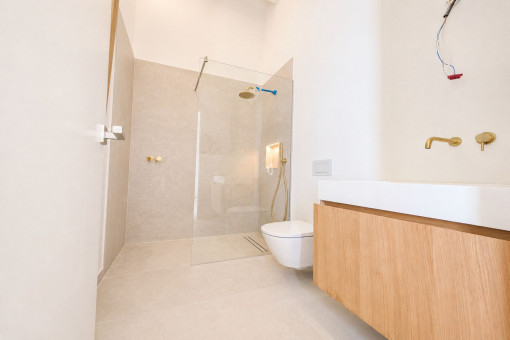 Guest toilet with shower