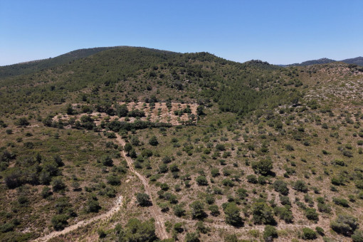 Mountain plot