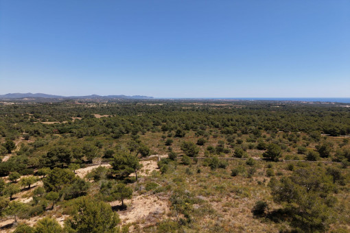 Views over the Island