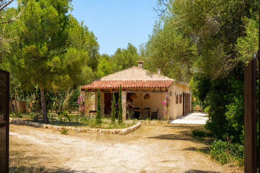 Driveway to the finca