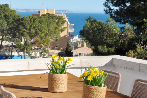 Rooftop terrace with sea views