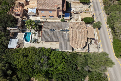 Bird view