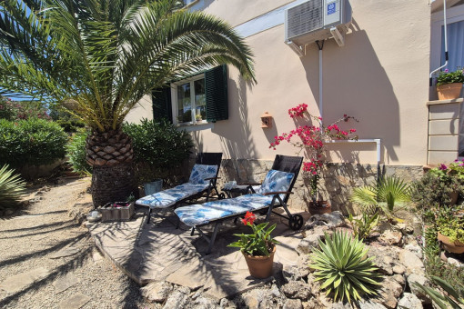 Terrace with sun loungers beneath palm trees