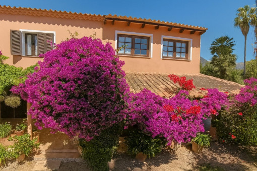 House facade with flowering garden