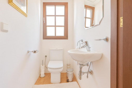 Bright small guest toilet room