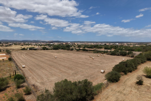 Birdview
