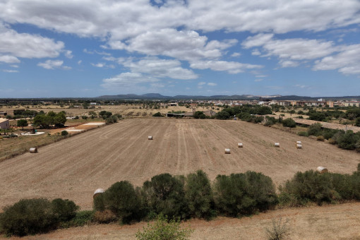 plot in Campos