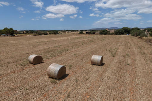 14.120 sqm plot