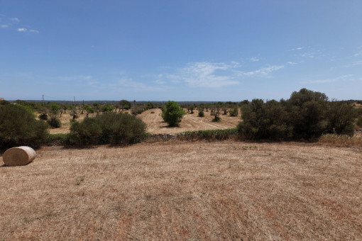 View to the south