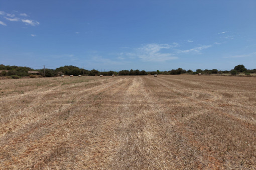 Building plot with walking distance to campos
