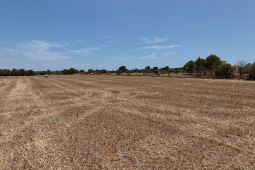Building plot with walking distance to campos