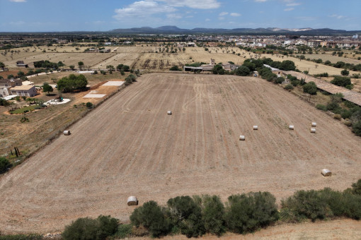 Birdview