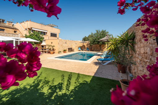 Garden and pool