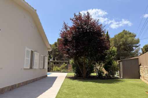 Well-maintained outdoor area