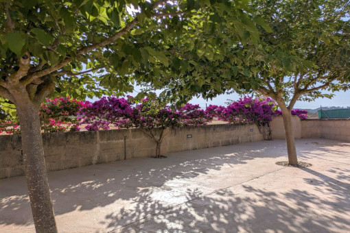 Parking area