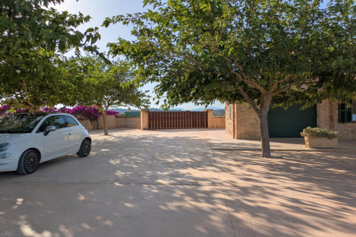 Driveway to the finca 