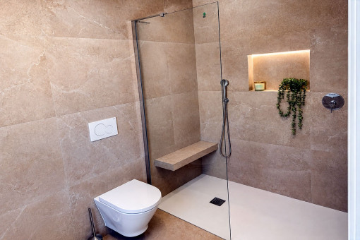 One fo the two modern bathrooms with window