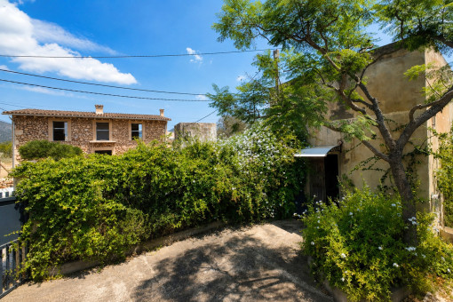 Annex set within the mature garden