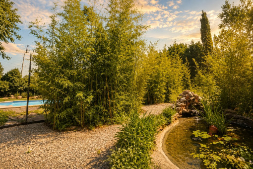 Idyllic garden with pond and lush vegetation