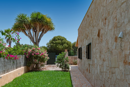 Garden surrounding the house, with the driveway and parking space in the background