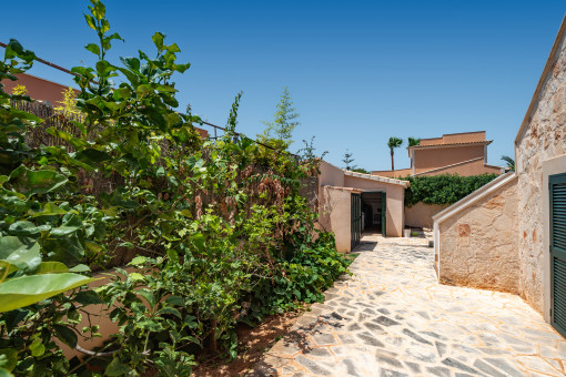 Garden surrounding the house, with the stairway to the rooftop terrace on the right