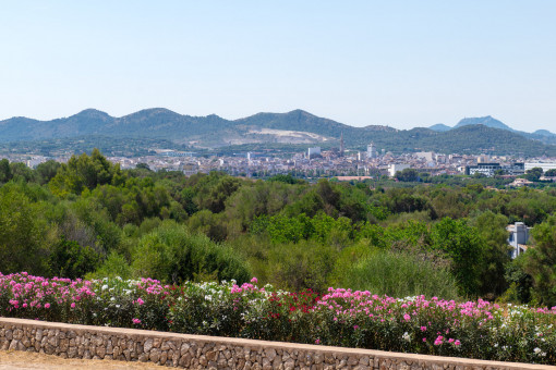 View from the house 