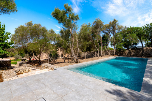 Pool with terrace