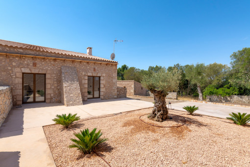 Terrace with access to the kitchen and living room