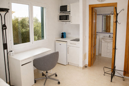 Kitchenette and private bathroom in the granny flat