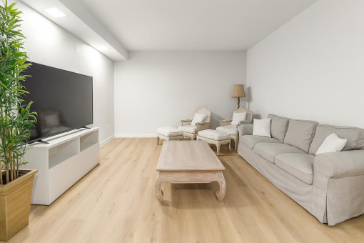 Modern cozy living room with TV
