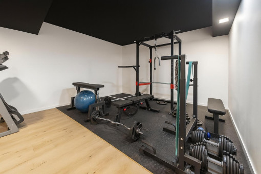 Home gym with weights and treadmill