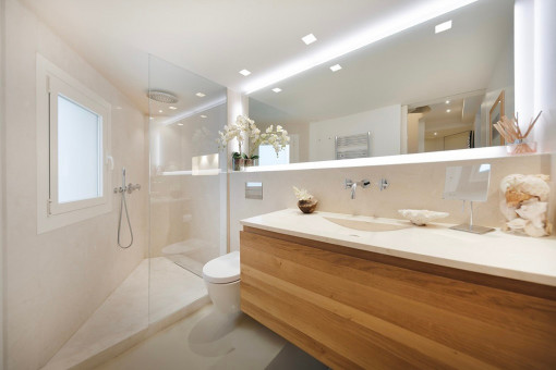 One of the 2 modern bathrooms