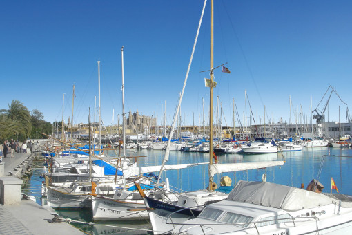 palma-wohnung-penthouse-dachterrasse_ergebnis