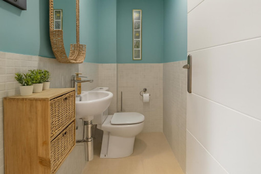 Modern guest toilet with bathroom fixtures