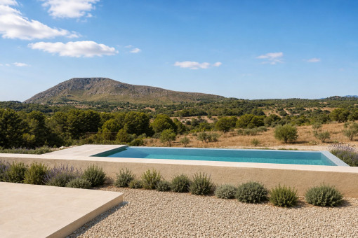 finca in Arta