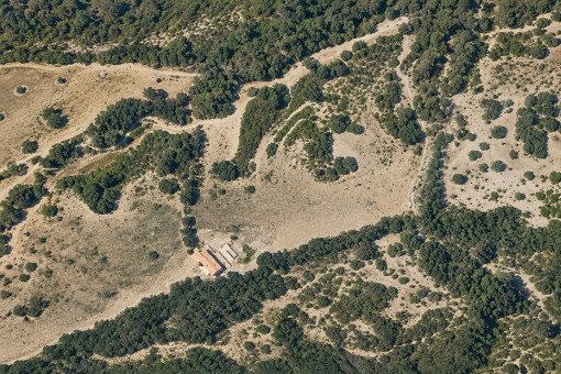 Aerial view of the finca and grounds