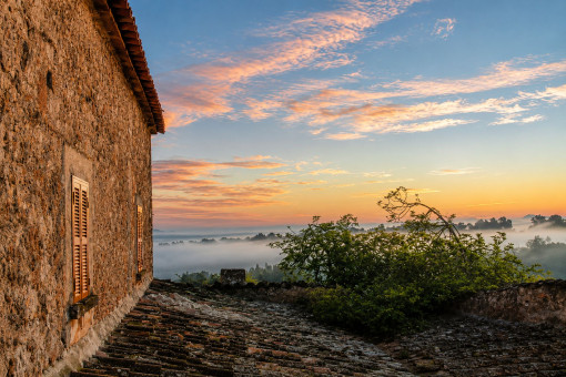 Panoramic View in Soft Light