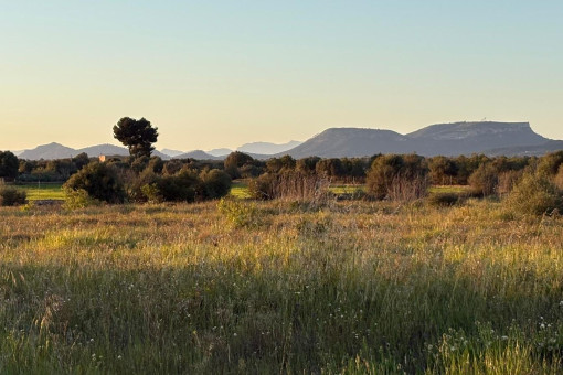 Panoramic views from the terrace towards Puig de Randa