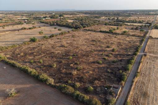Aerial view of the plot