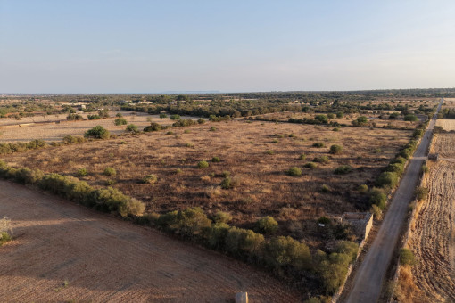 Aerial view of the plot and its paved access road