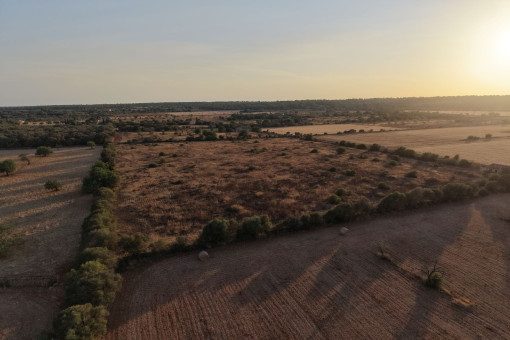 Aerial view of the plot and the surrounding area