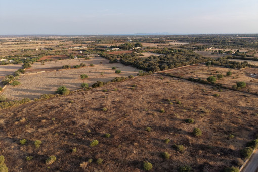 Aerial view of the plot and its surroundings
