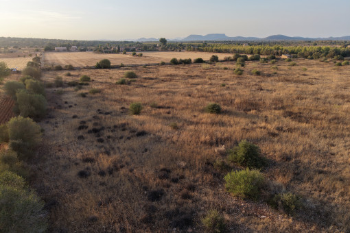 Aerial view of the plot with views towards Puig de Randa and the Tramuntana Mountains