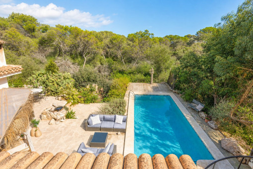 View from the rooftop terrace over the pool and surrounding greenery