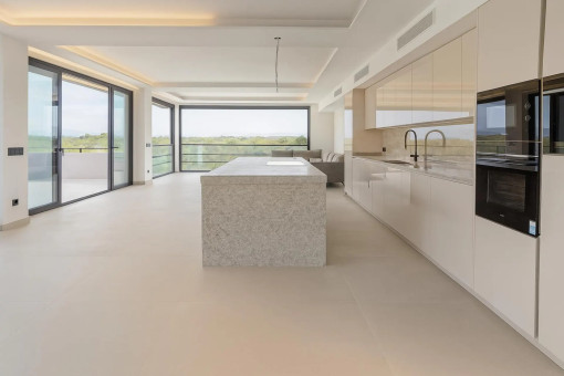Open-plan designer kitchen and adjoining living area