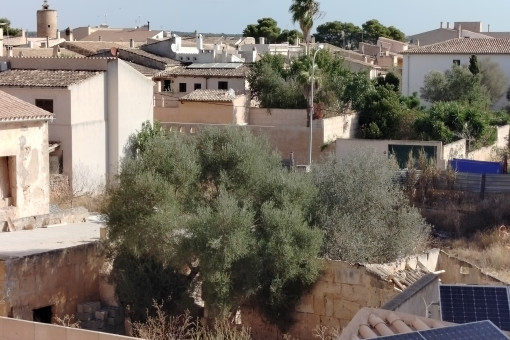 Panoramic view