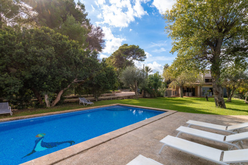 Large pool with plenty of space for swimming and relaxing