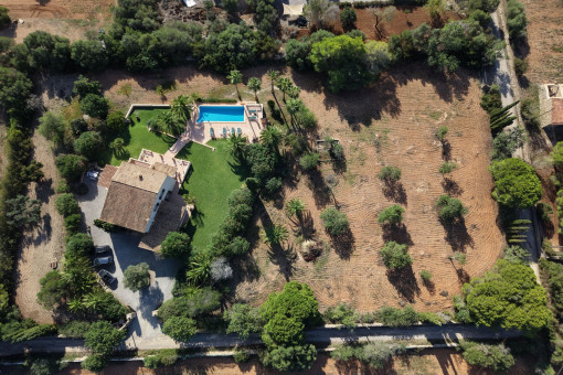 Birdview
