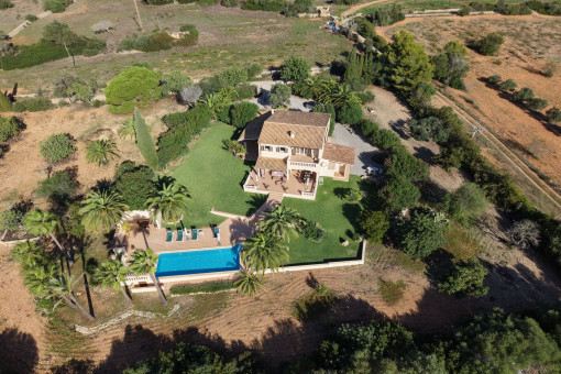 Birdview